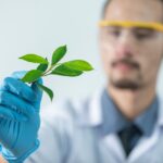 نصيحة من ذهب