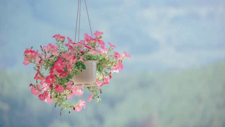إضافة اللمسات الطبيعية لتحسين مزاجك